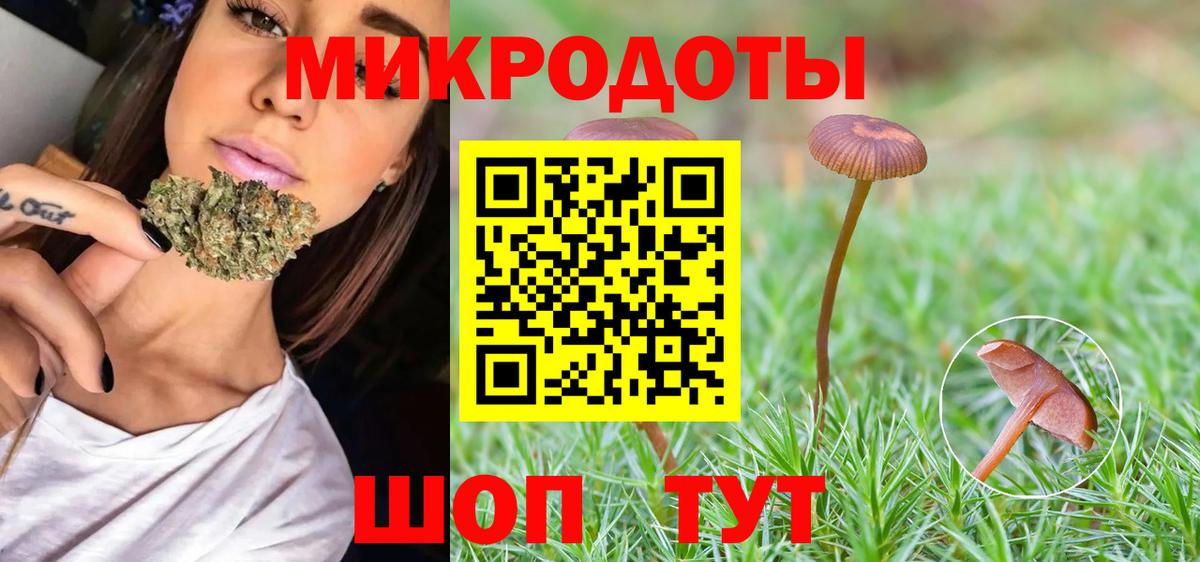 Северобайкальск  Псилоцибиновые грибы мицелий  Вход с VPN 