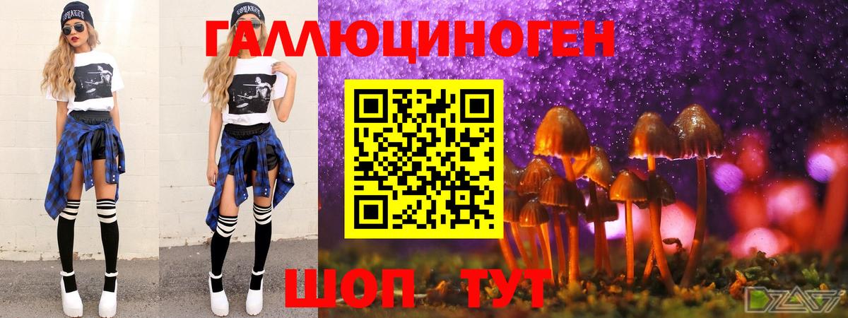 Псилоцибиновые грибы Psilocybe Северобайкальск